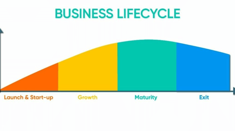 Navigating the Stages of a Company Life Cycle: A Guide to Growth and Sustainability